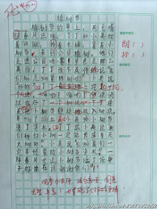 乔木日的英语作文：种植树木树（中英文比较）_400字