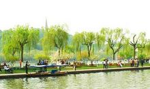 翻过这一页_800字