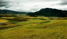 等待，只为遇见你的过_1500字