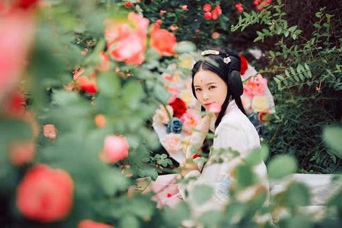 喜欢失去他们的脾脏_800字的鲜花