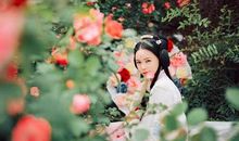 爱发脾的花_800字