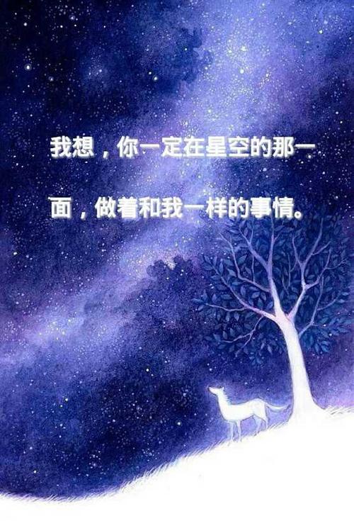 明星_250字