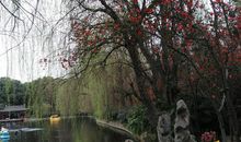 美丽的棠湖公园_600字