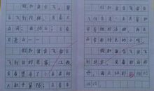 关于妇女节的200字作文：难忘的妇女节_350字