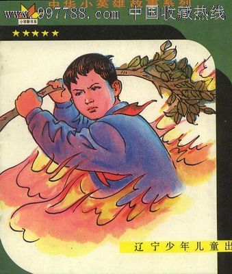 给小英雄林浩的一封信_350字