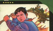 给小英雄林浩的一封信_350字