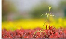 难忘的一瞬间_800字