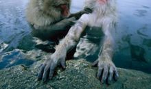 精彩的瞬间_550字