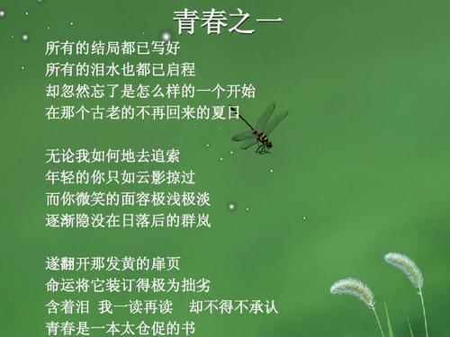 泪流满面的笑声_600字