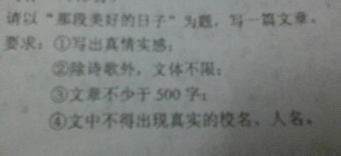 100％爱_900字