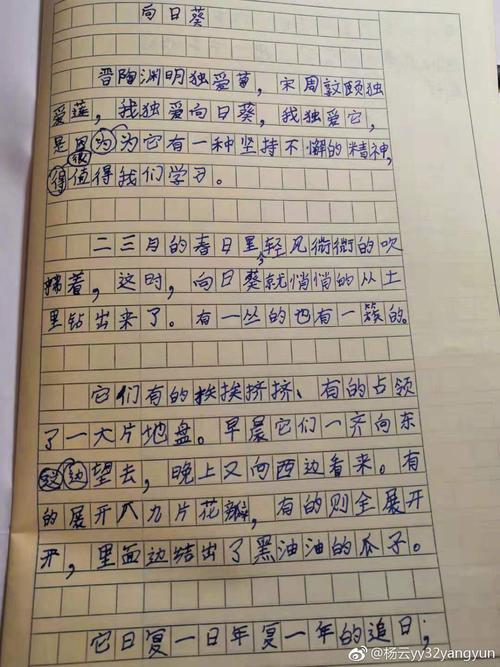 不依赖着名的谚语_450字