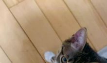 9月遥寄，写给一年后的自己_800字