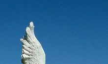 纵是夜，思绪已万千_700字