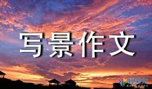 我能行_350字