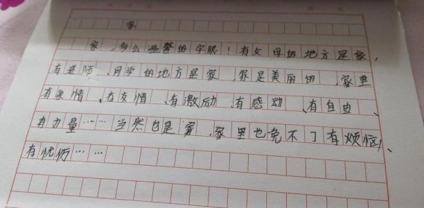 我是一个双重_450字