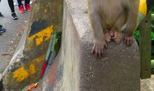 [2013暑期征文] 寻求宁静_1200字