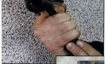 凋零的丑陋_550字