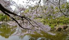 淡淡的阳光的味道_700字