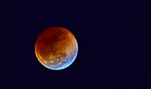 星辰闪烁，霓虹迷离_650字