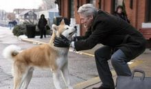 读《从动物孵卵说到儿童教育》有感_450字