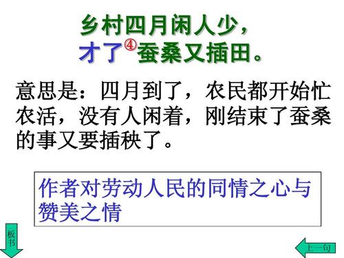 [2013年夏季论文]同情_550字