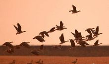 同大自然亲近_1200字