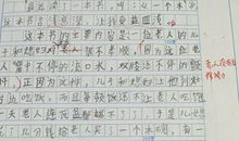 怎样写好高中读后感