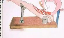 画风突然就崩了_250字