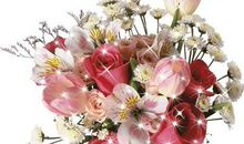 ［九月遥寄］读《生如夏花》有感_1200字