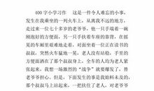 关于宽容的作文：不宽容的宽容_900字