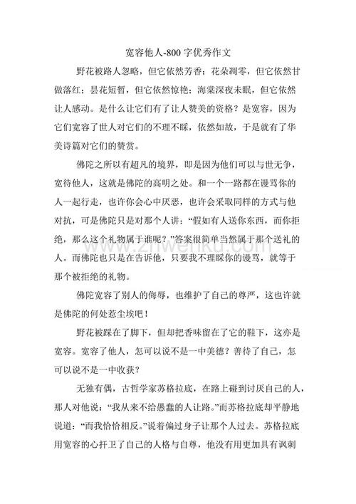 关于宽容：我可以看到像这样的容忍度_800字样