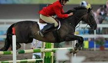 永恒的坚守正直_2000字