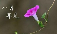 [九月遥寄]朋友,你好!_900字