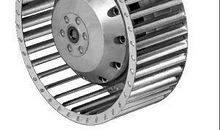 美妙的声音_450字