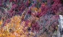 品味不经意的回想_700字