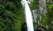 重庆10年大变化_900字