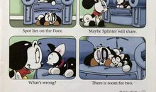 小狗点点历险记_700字