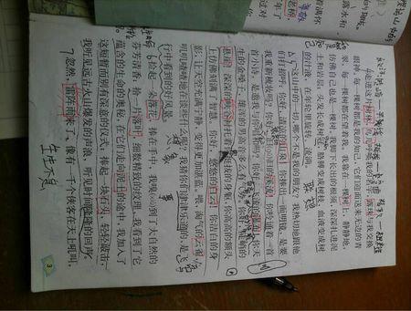 手机上的组成：窃取手机五_600字