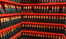 生活中的亮点无处不在_700字