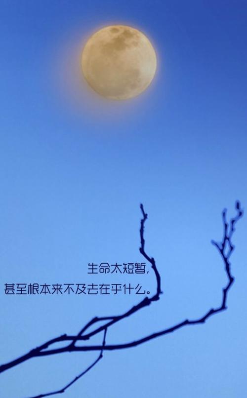 短美_700字