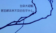 为了短暂的美丽_700字