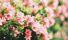 沐尔清风，微笑回首_750字