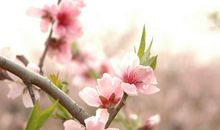 帮助别人，也就是帮助自己