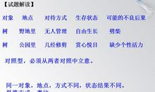 以“底气”为话题的作文讲评