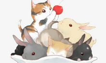 猫和兔_400字