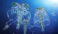 未来的海洋城市_400字