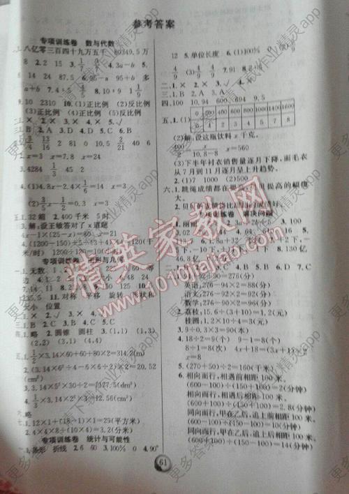 “级别100”_450字