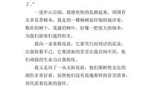 昭山一日游_400字