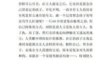 《斑羚飞渡》读后感_1200字