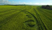 把绿色带给大地_700字